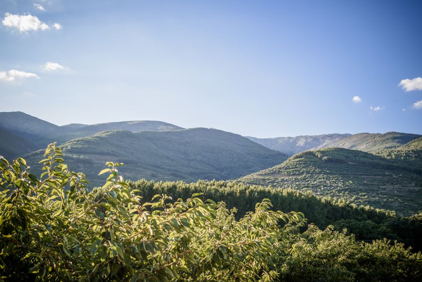 Service Actividades 2