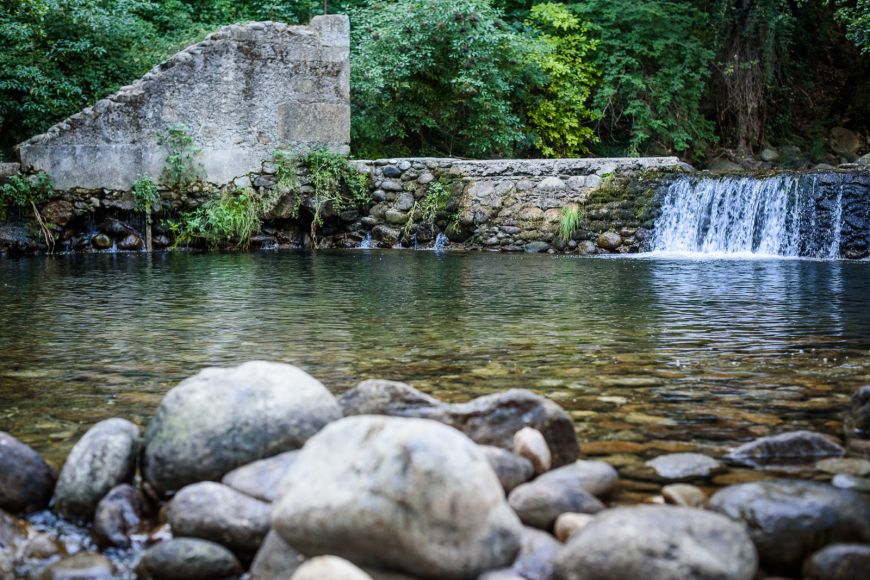 Service Actividades 3